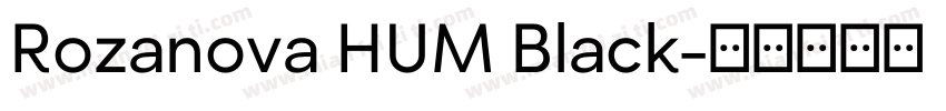 Rozanova HUM Black字体转换